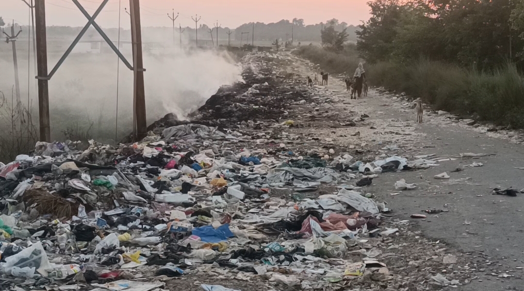 एनजीटी के आदेशों की धज्जियां उड़ा रही नगर पंचायत बढ़नी: कूड़ा निस्तारण केंद्र शोपीस, नहर की पटरियों पर कचरे में लगाई जा रही आग